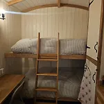 Campingplads Dark Skies Den