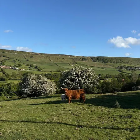 مكان تخييم Dark Skies Den
